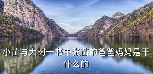 小苗與大樹一書中張苗的爸爸媽媽是干什么的