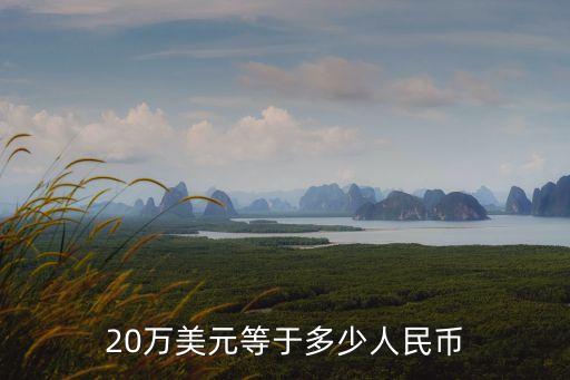 20萬(wàn)美元，20萬(wàn)美金等于多少人民幣啊
