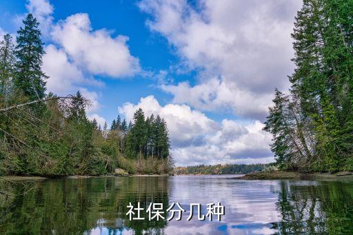 社保分幾種
