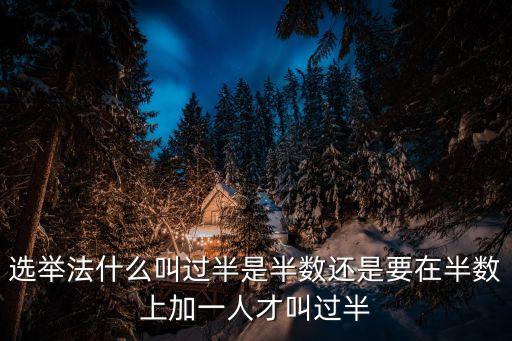 選舉法什么叫過(guò)半是半數(shù)還是要在半數(shù)上加一人才叫過(guò)半
