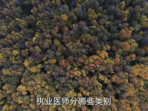 執(zhí)業(yè)醫(yī)師分哪些類別