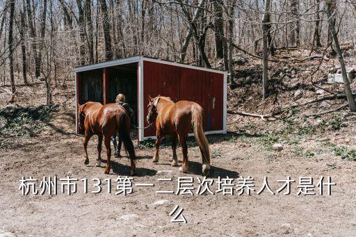 杭州市131第一二層次培養(yǎng)人才是什么