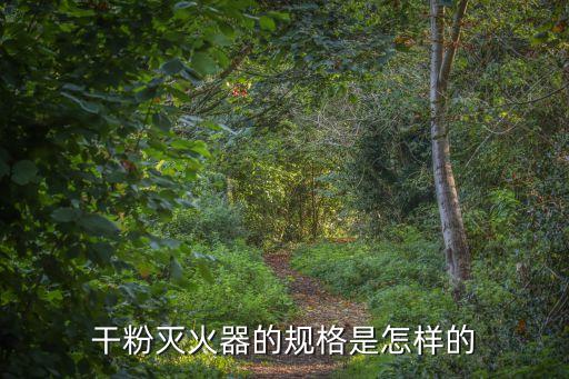 干粉滅火器規(guī)格，手提式干粉滅火器有幾種規(guī)格有消防部分認(rèn)證的