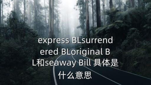電放提單英文，surrender of bill of lading是什么意思