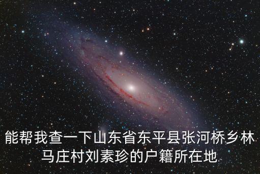 能幫我查一下山東省東平縣張河橋鄉(xiāng)林馬莊村劉素珍的戶(hù)籍所在地