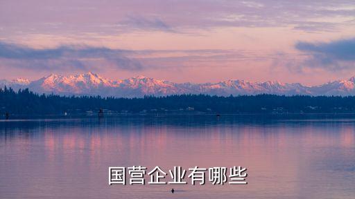 國(guó)企單位，國(guó)營(yíng)企業(yè)有哪些