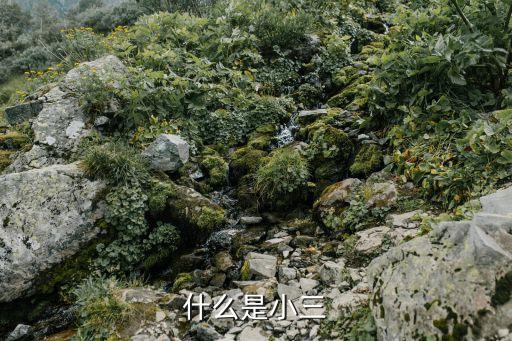 什么是小三
