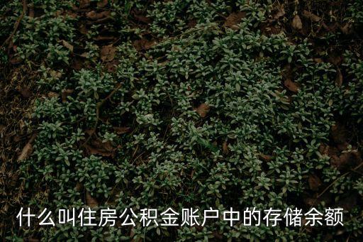 什么叫住房公積金賬戶中的存儲余額