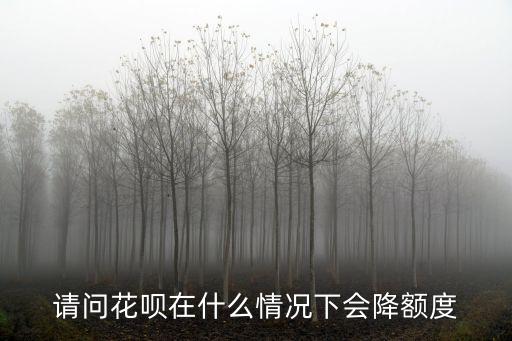 請(qǐng)問(wèn)花唄在什么情況下會(huì)降額度