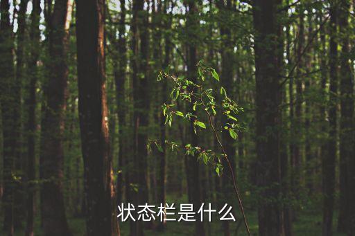 狀態(tài)欄是什么