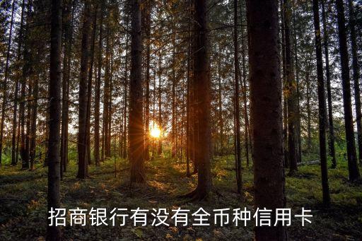 招商銀行有沒有全幣種信用卡