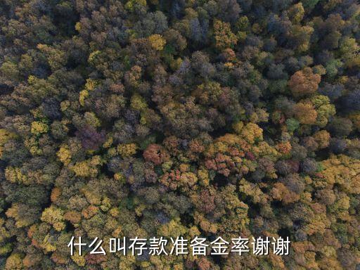 存款準(zhǔn)備金率，存款準(zhǔn)備金率是什么