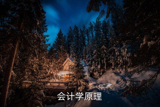 唐國平，會計學原理核算題