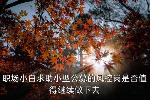 小公募，大公募和小公募審核流程相同嗎