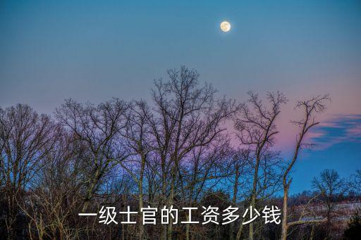 一級軍士長工資表明細，請問一級士官的工資是多少