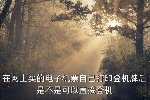 電子登機(jī)牌可以直接登機(jī)嗎，辦理了電子登機(jī)牌可以直接用二代身份證登機(jī)是嗎也不用手機(jī)的二