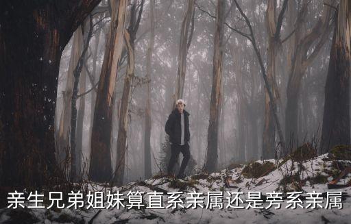 姐姐算直系親屬嗎，親生兄弟姐妹算直系親屬還是旁系親屬