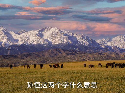 孫恒這兩個(gè)字什么意思