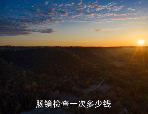 腸鏡檢查一次多少錢(qián)