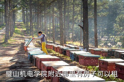 璧山租房，璧山機(jī)電學(xué)院附近哪里有房子可以租