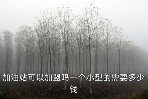 加油站可以加盟嗎一個(gè)小型的需要多少錢