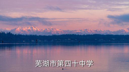 蕪湖市第四十中學(xué)