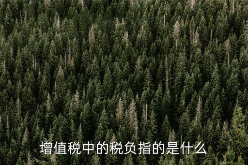 增值稅稅負(fù)，增值稅稅負(fù)什么意思