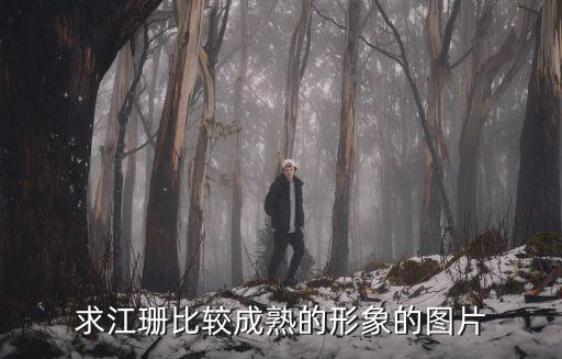 求江珊比較成熟的形象的圖片