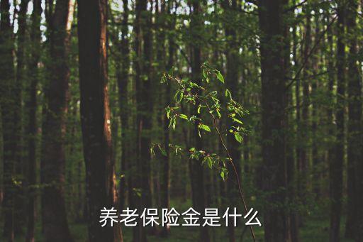 養(yǎng)老保險(xiǎn)金是什么
