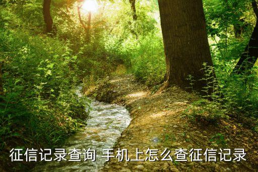 征信記錄查詢 手機(jī)上怎么查征信記錄