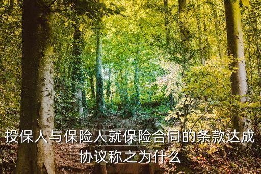 投保人與保險(xiǎn)人就保險(xiǎn)合同的條款達(dá)成協(xié)議稱之為什么