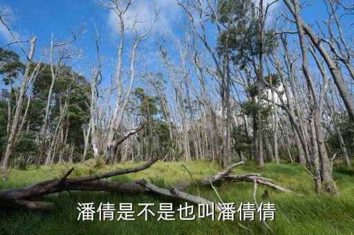 潘倩，請大家?guī)兔懸皇撞仡^詩她的名字叫潘倩要寫我愛她