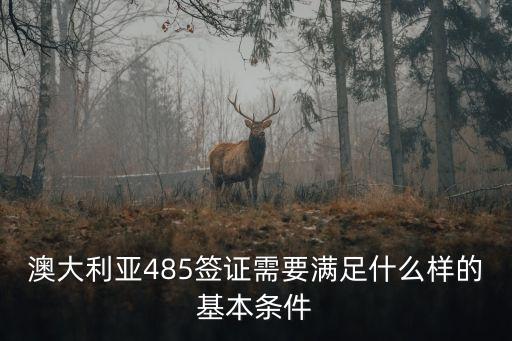 485簽證，澳大利亞485簽證需要滿足什么樣的基本條件