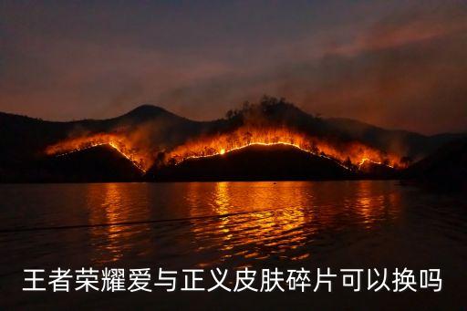 愛與正義，愛與正義是什么梗