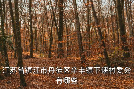 江蘇省鎮(zhèn)江市丹徒區(qū)辛豐鎮(zhèn)下轄村委會(huì)有哪些