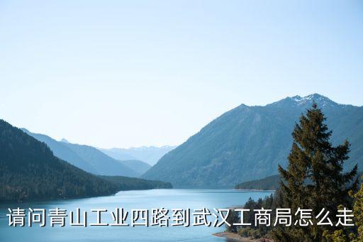 武漢工商局，武漢市工商管理局