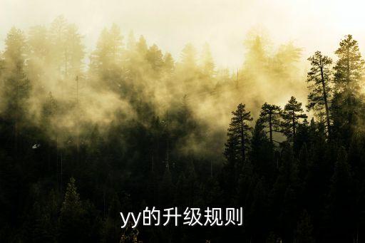 yy的升級規(guī)則