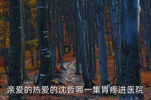 親愛(ài)的熱愛(ài)的沈哲哪一集胃疼進(jìn)醫(yī)院
