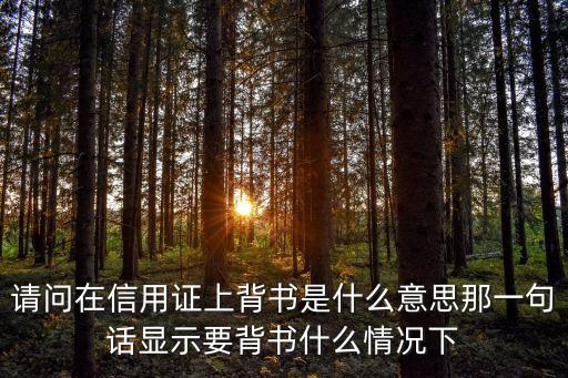 信用背書，急急急中央政府信用背書是什么意思