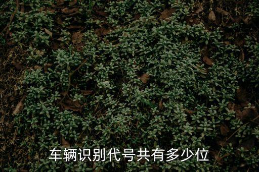 車輛識別代號共有多少位