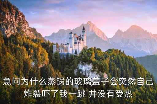 急問為什么蒸鍋的玻璃蓋子會突然自己炸裂嚇了我一跳 并沒有受熱