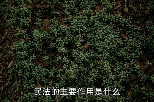 民法的主要作用是什么