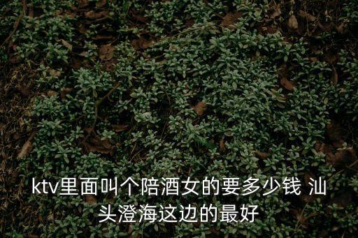 ktv里面叫個陪酒女的要多少錢 汕頭澄海這邊的最好