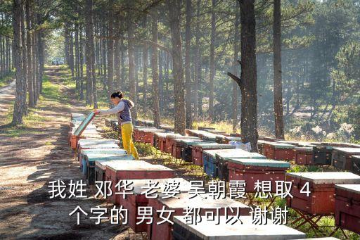 我姓 鄧華 老婆 吳朝霞 想取 4個(gè)字的 男女 都可以 謝謝