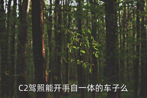 C2駕照能開手自一體的車子么