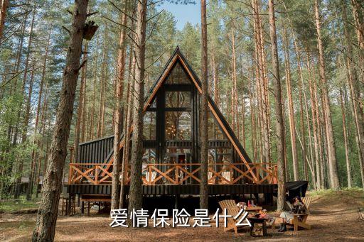 愛情保單，愛情保險是什么