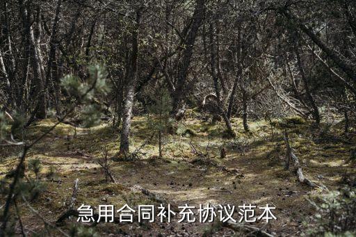 補(bǔ)充協(xié)議合同范本，監(jiān)理工程的補(bǔ)充協(xié)議怎么寫(xiě)