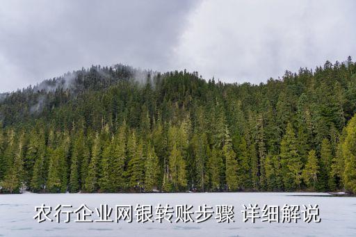 農(nóng)行企業(yè)，中國(guó)農(nóng)業(yè)銀行組織形式是什么性質(zhì)的