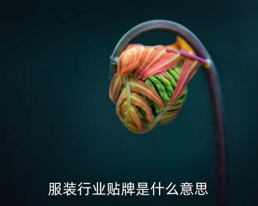 服裝貼牌，什么是貼牌加工