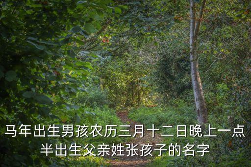 馬年出生男孩農(nóng)歷三月十二日晚上一點(diǎn)半出生父親姓張孩子的名字